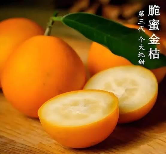 脆蜜金桔：甜蜜的滋味，健康的守护