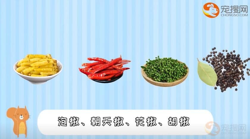 泰迪狗能吃青椒吗？专家解读其饮食安全指南
