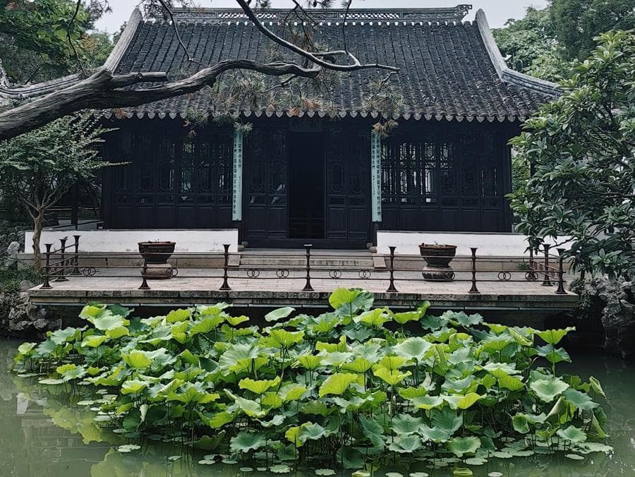 苏州景区取消实名预约效果如何？记者实地探访，有游客呼吁不要简单一刀切