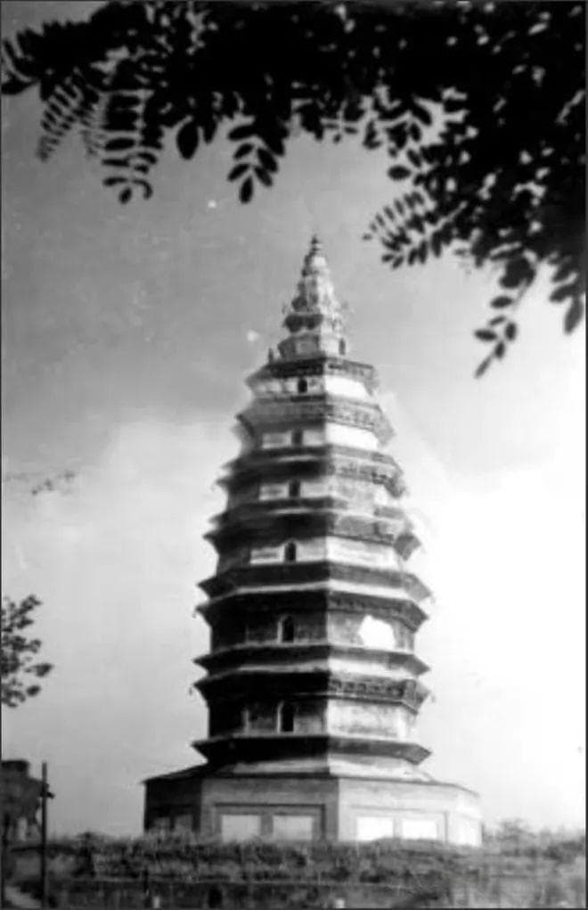 泸州城中只剩一座塔，却是全国重点文物保护单位，近千年屹立不倒