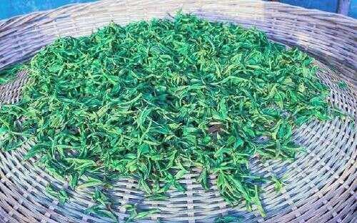 这6种蔬菜晒干后，比新鲜的更好吃！生吃炖肉都行，放1年都不坏