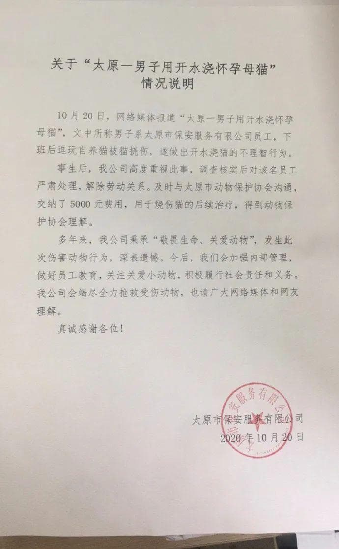 “网上虐猫”事件频发，要虐杀到重惩的那一天？