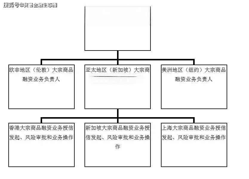 大宗商品贸易融资风险防范与授信策略