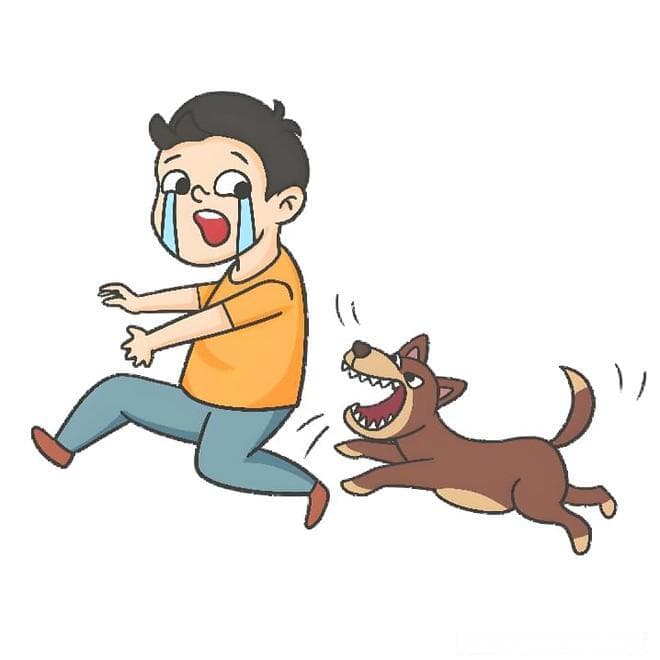 宠物伤人责任分担，四川公标律师提供专业法律建议