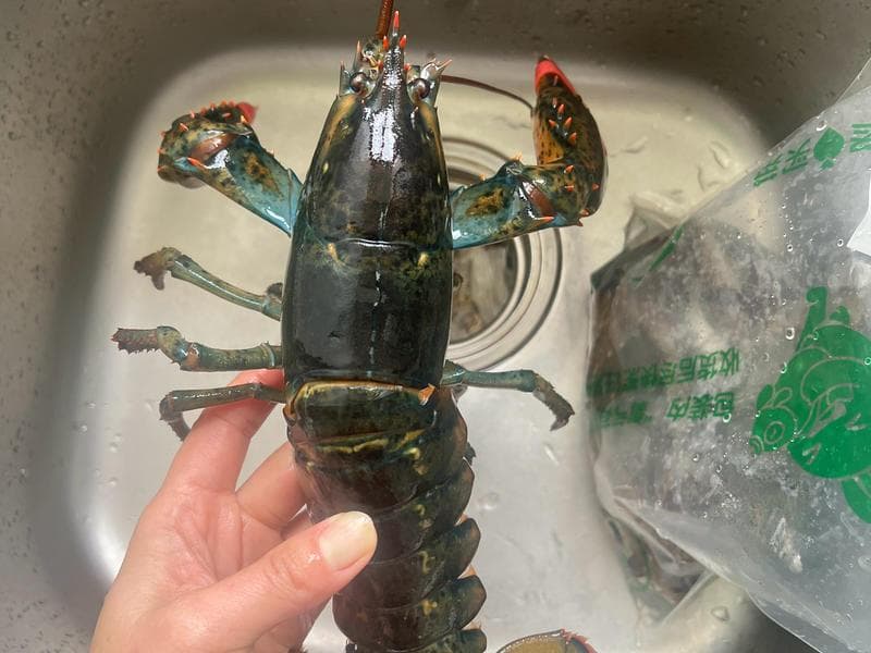 清蒸龙虾🦞