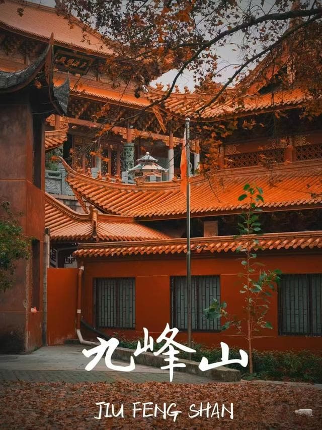 九峰山保护区：2338米主峰俯瞰，596种植物与134种动物共生