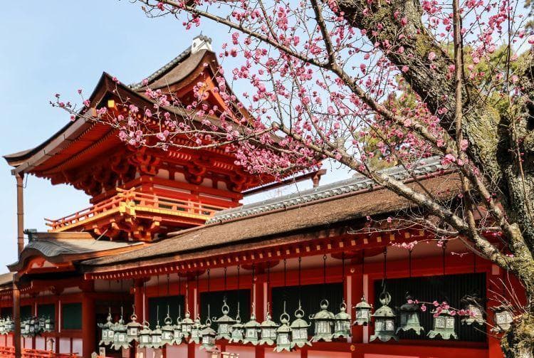 奈良公园：宏伟的寺庙与神社，以及漫步其中的野生鹿群