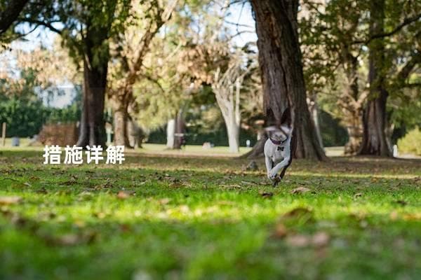 狗狗蜱虫怎么处理？有效方法与预防措施详解