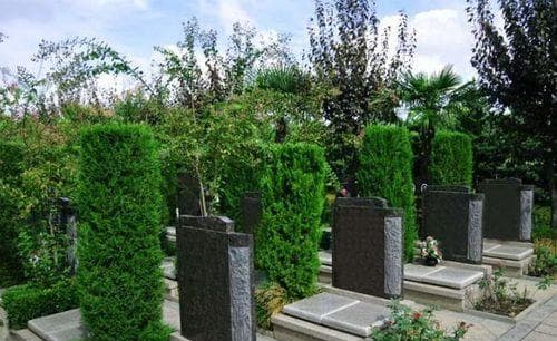 梦见坟地是什么意思