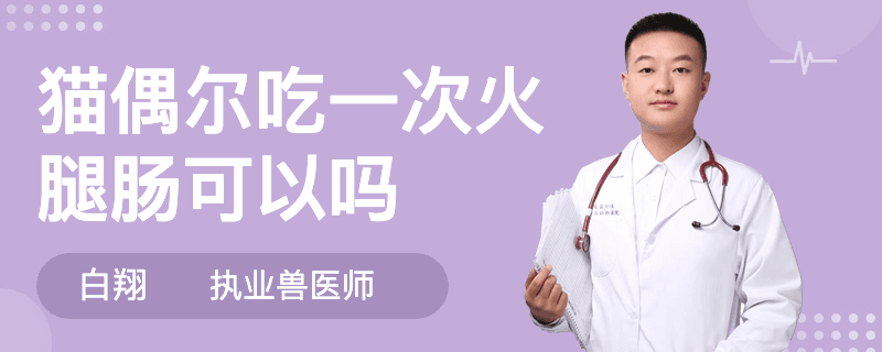 猫偶尔吃一次火腿肠可以吗