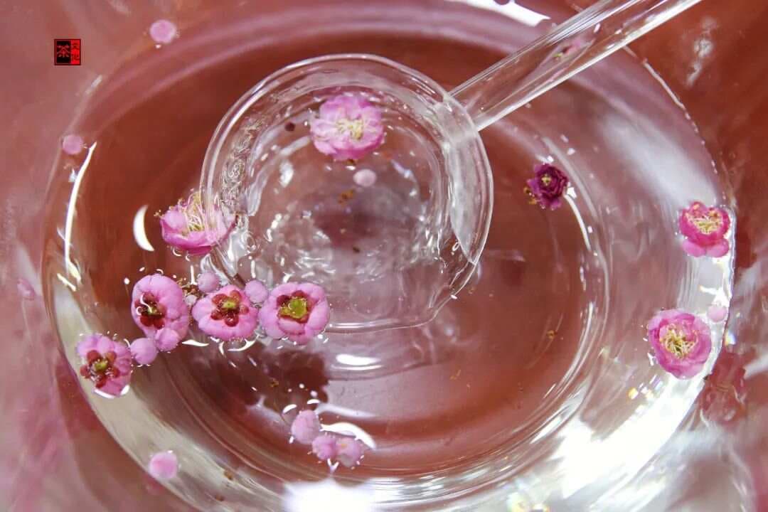 哪种水泡茶更好喝？