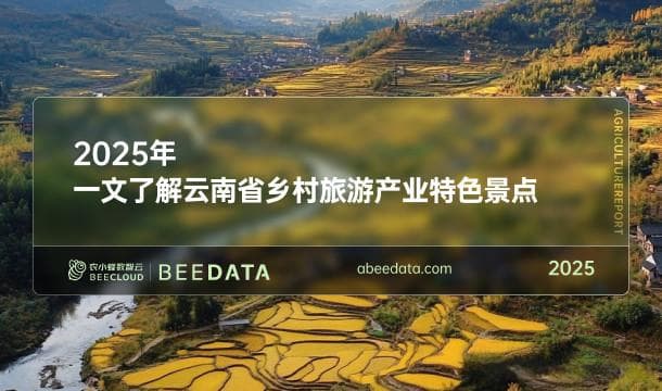云南省乡村旅游产业特色景点概览