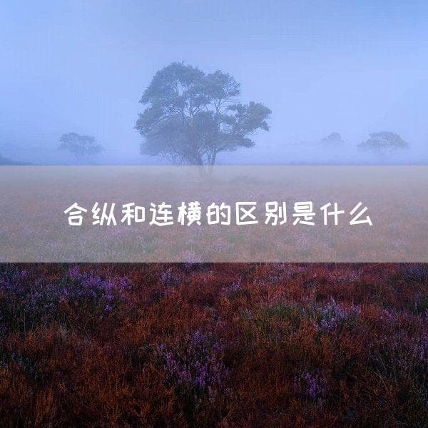 合纵和连横的区别是什么
