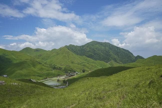 福建也有风景如画的草原！六大绝美草原景点，让你邂逅南方的诗与远方