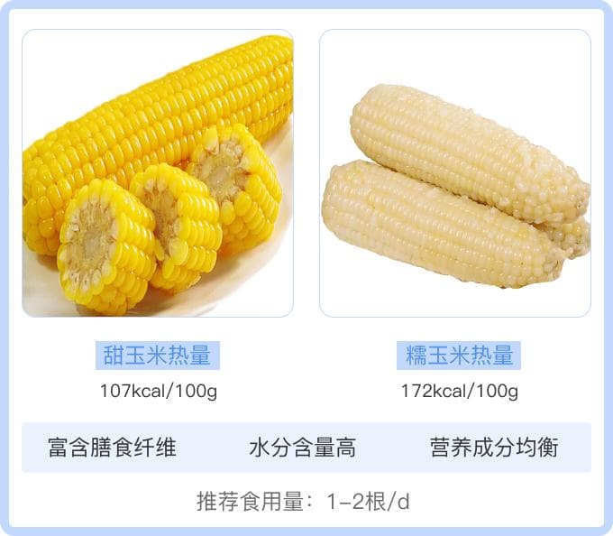玉米热量低的秘密：膳食纤维、水分与营养均衡