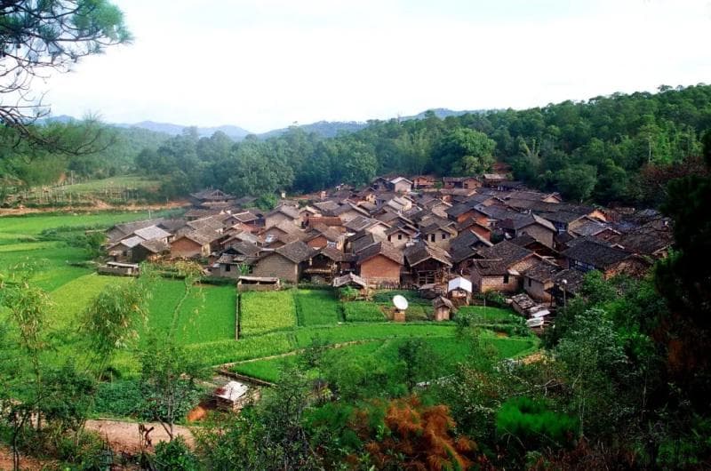 云南普洱景谷：芒岛傣族传统文化掀起乡村旅游热