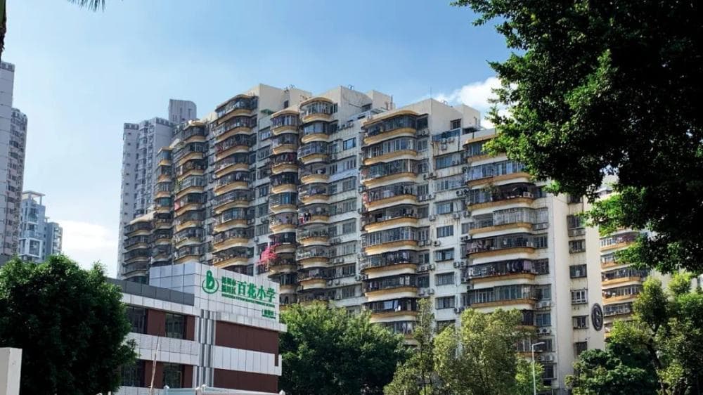 学区房价格腰斩，利好政策出台了
