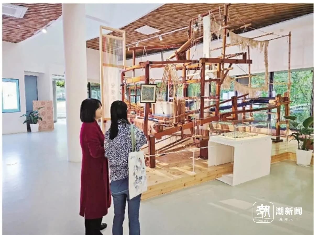 浙江文化里的科学⑧丨丝绸制造：家蚕驯化，最早的“基因”改造工程
