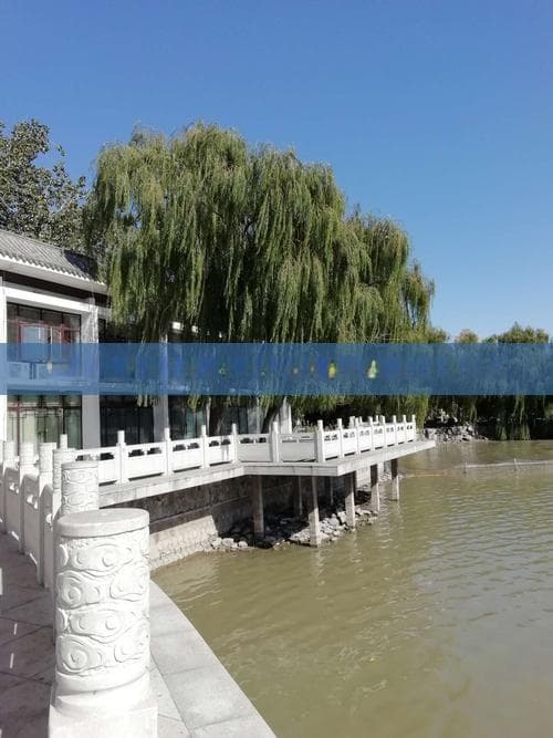 带孩子前往香格里拉旅行：如何预防和应对高原反应