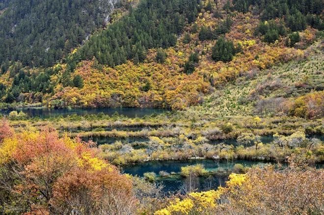 九寨沟旅游攻略，九寨沟30个景点介绍，一文搞懂九寨沟去哪儿玩？