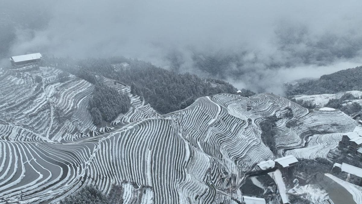 广西多地普降2024年初雪，桂林市区时隔21年再现雪景