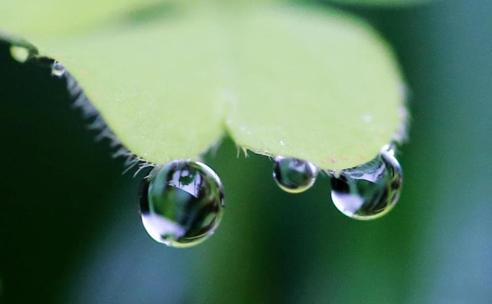 “声动”二十四节气｜雨水：一犁春雨趁农耕