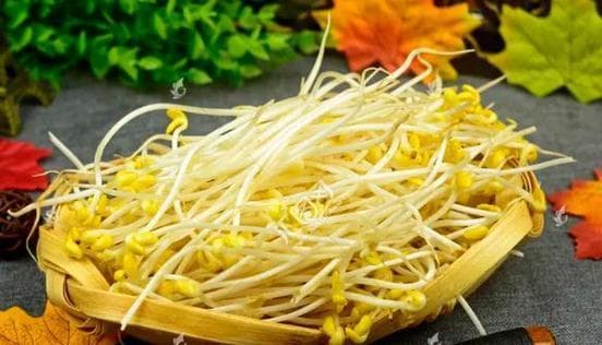 绿豆芽的营养与吃法（是否可以生吃绿豆芽？绿豆芽的营养价值和烹饪方法都在这里！）