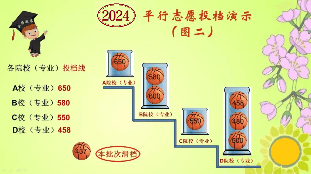 2024年山东：96个平行志愿选报“5步走”