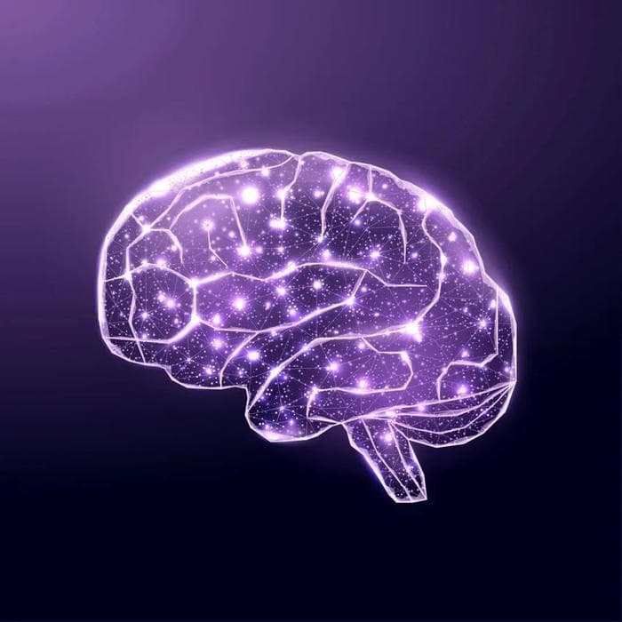 大脑基础科学突破！发现人脑预测未来机制，人脑和AI惊人相似？