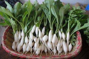 萝卜缨子怎么做好吃？12种美味吃法让你爱上这道营养食材