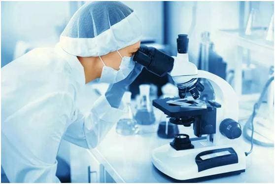 报告基因法解析：生物技术药物检测的新趋势？