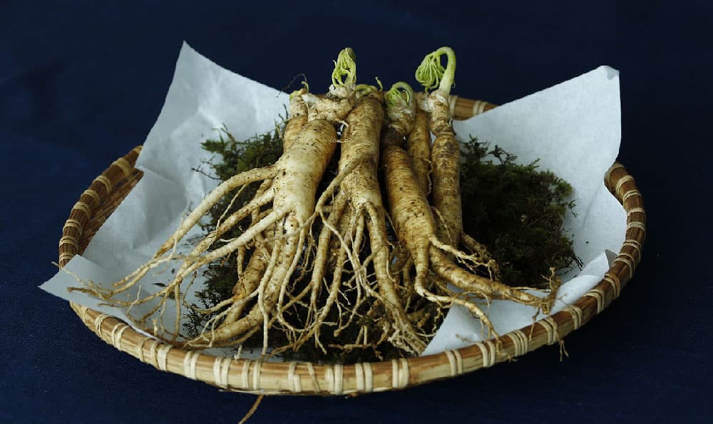 天麻的主要功效（天麻适合哪些人群食用）
