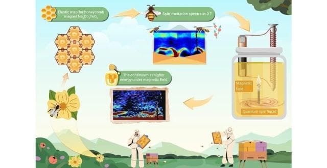 磁场编织的量子谜团：解码新型量子自旋液体材料