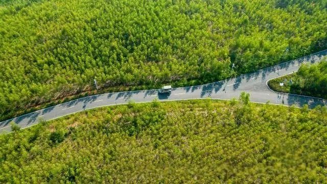 绿水青山如何成就美丽经济？｜“百千万工程”的茂名市电白区实践