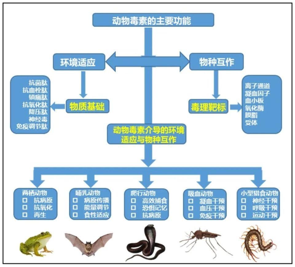 在“五毒”里寻找良药