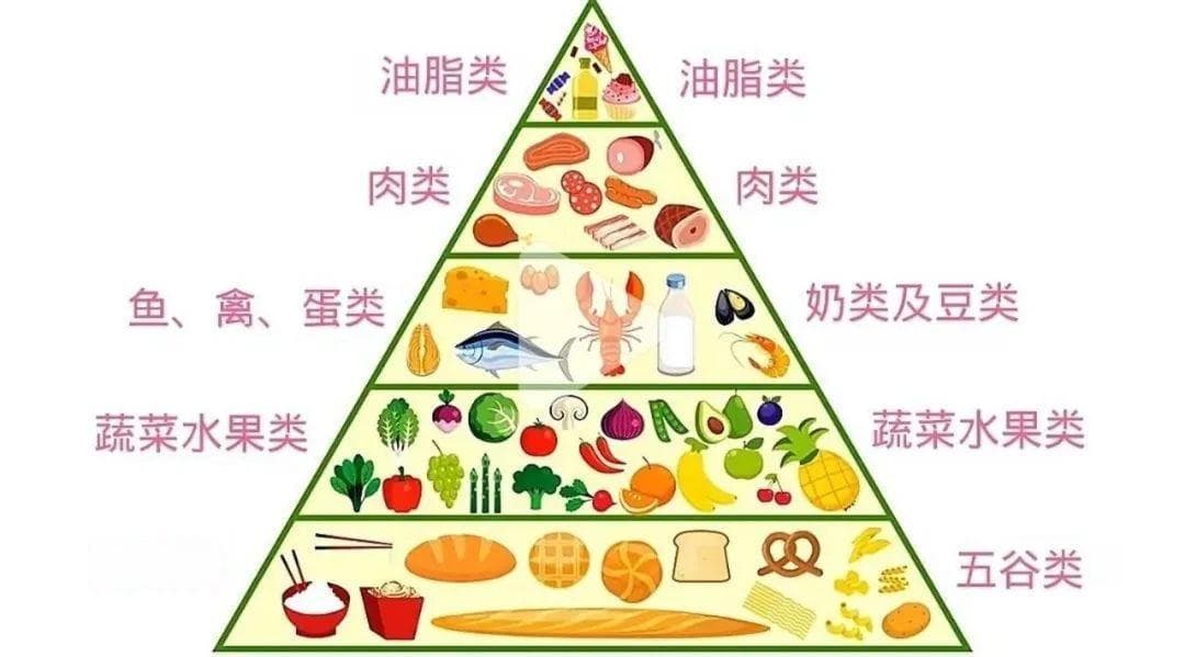 如何辨别优质食用油？三大选购技巧全解析