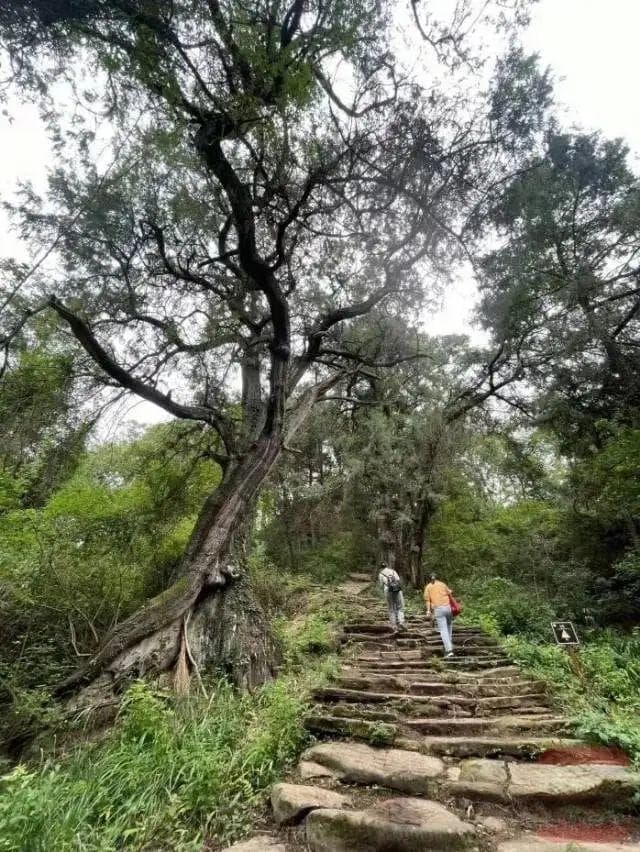 蜀道：古代国家统一与治权扩展的交通基石