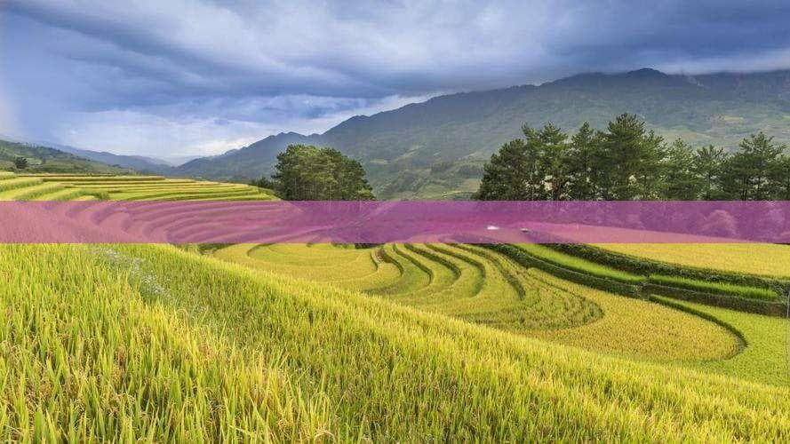 湛江去云南古城六日游路线及费用，附自驾游与旅游攻略