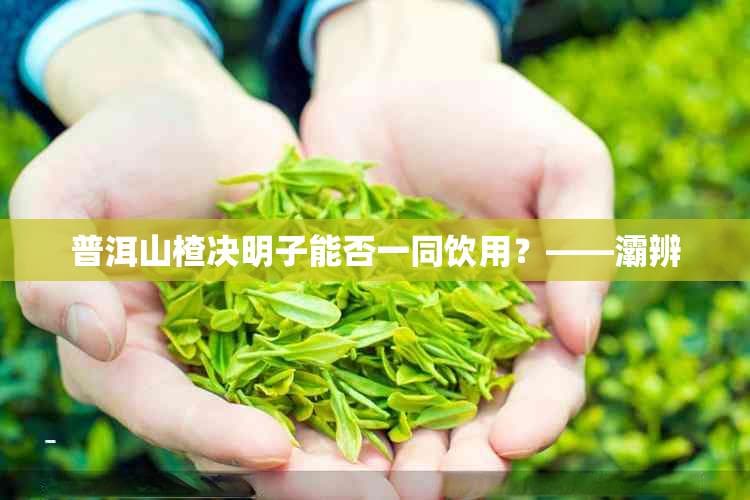 普洱山楂决明子能否一同饮用？——灞辨