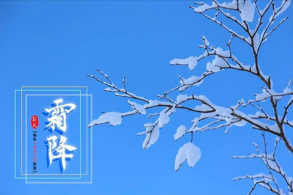 “霜降吃4宝，中药不用找”，今日霜降，建议：吃4宝，滋补又暖身