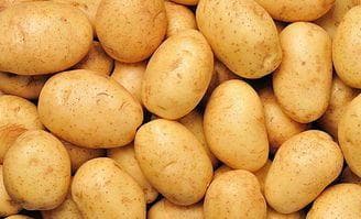 从饮食到运动：脾胃虚弱患者的养生保健全攻略