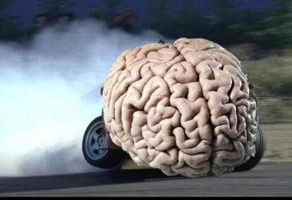 科学家发现人工神经网络与人脑之间的本质区别