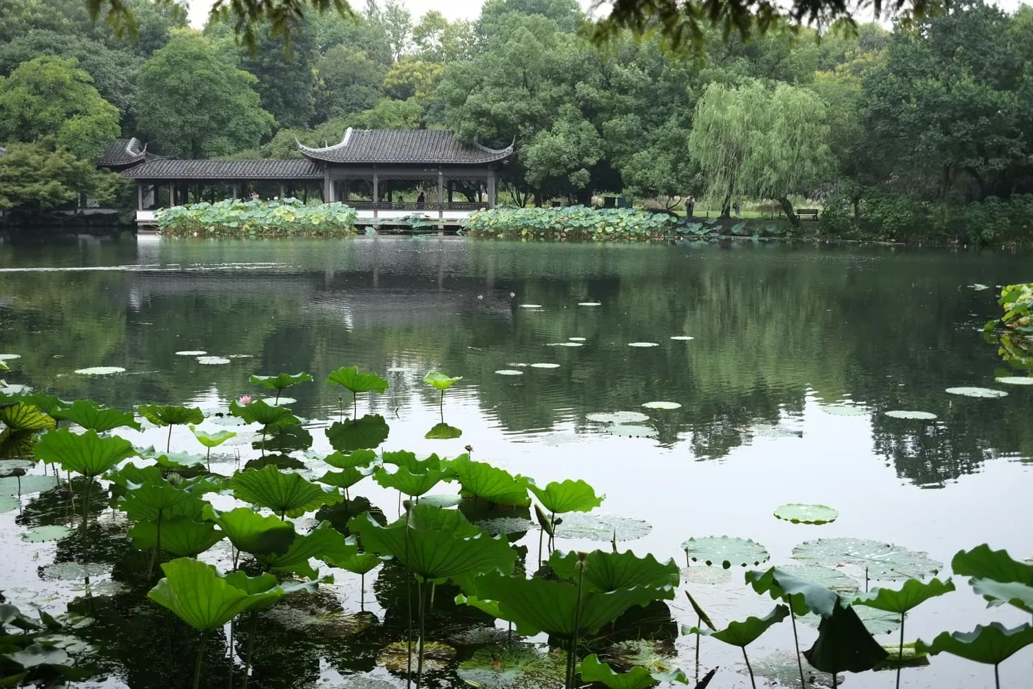 瘦西湖：皇家园林变身5A景区，34亿打造文旅新地标
