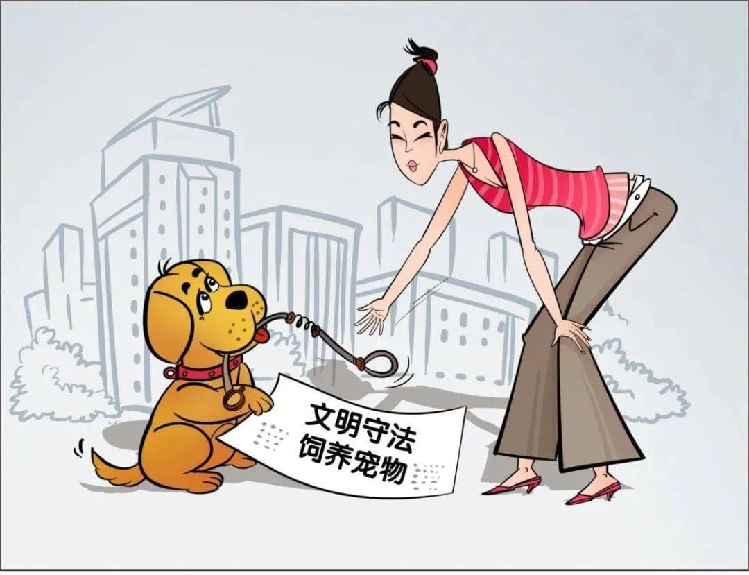 宠物狗咬人谁担责？“铲屎官”们注意啦