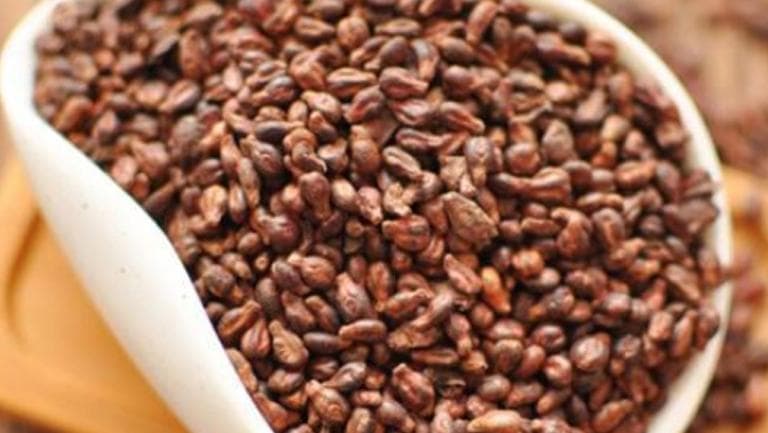 葡萄籽的功效与作用、禁忌和食用方法