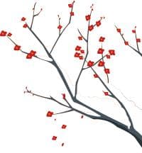 健康生活，从“心”开始——初一新生尽快适应初中生活的有效策略