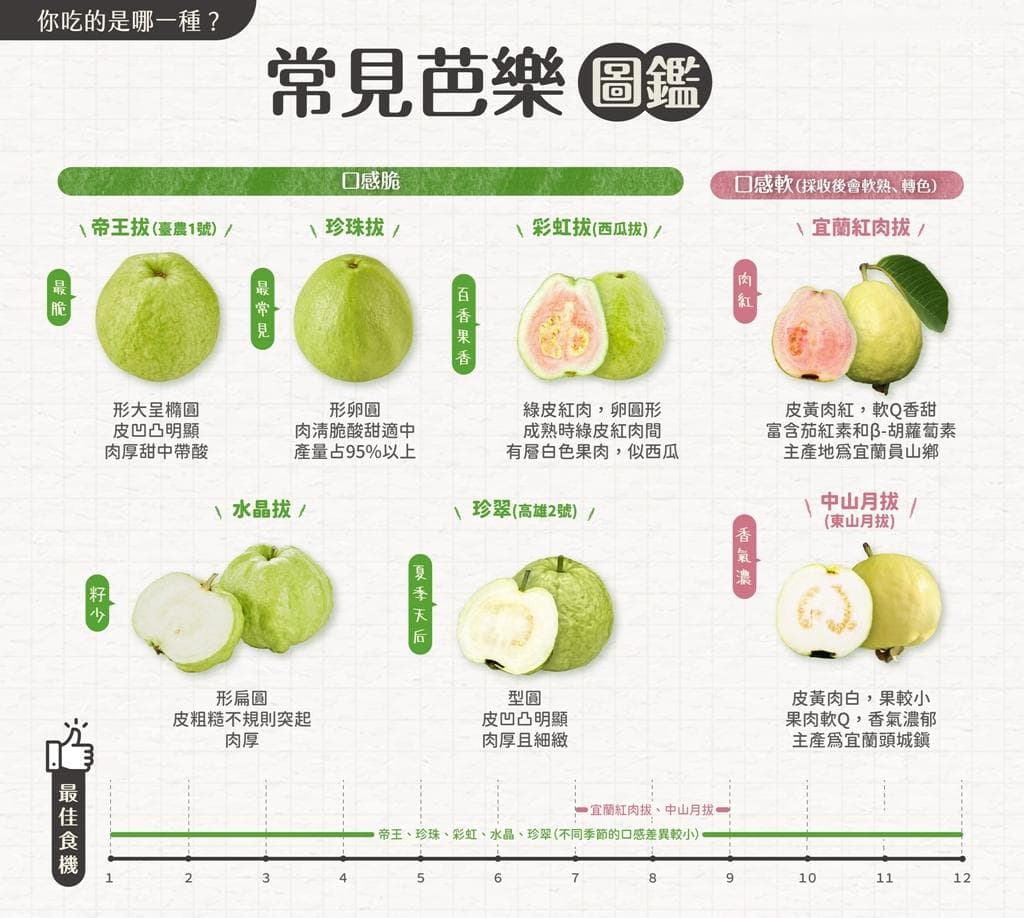 芭乐的功效与营养价值：从功效到食用禁忌的全面解析