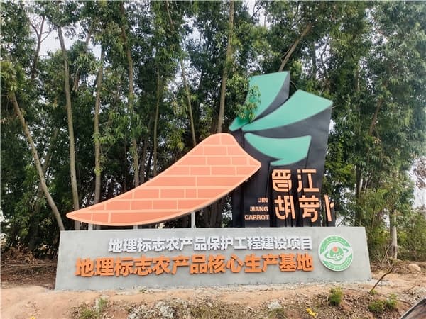 福建晋江：创意IP形象赋能 助力胡萝卜品牌打造