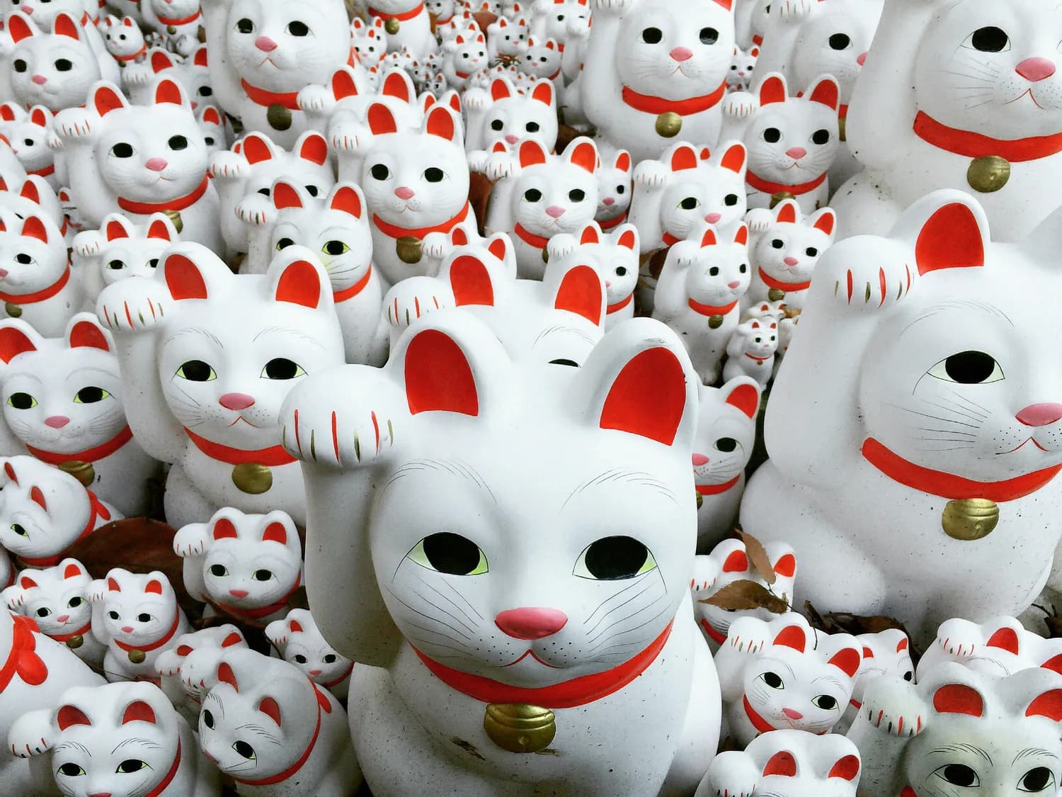 《如果历史是一群喵》：用萌猫演绎历史，让孩子爱上历史的动画片