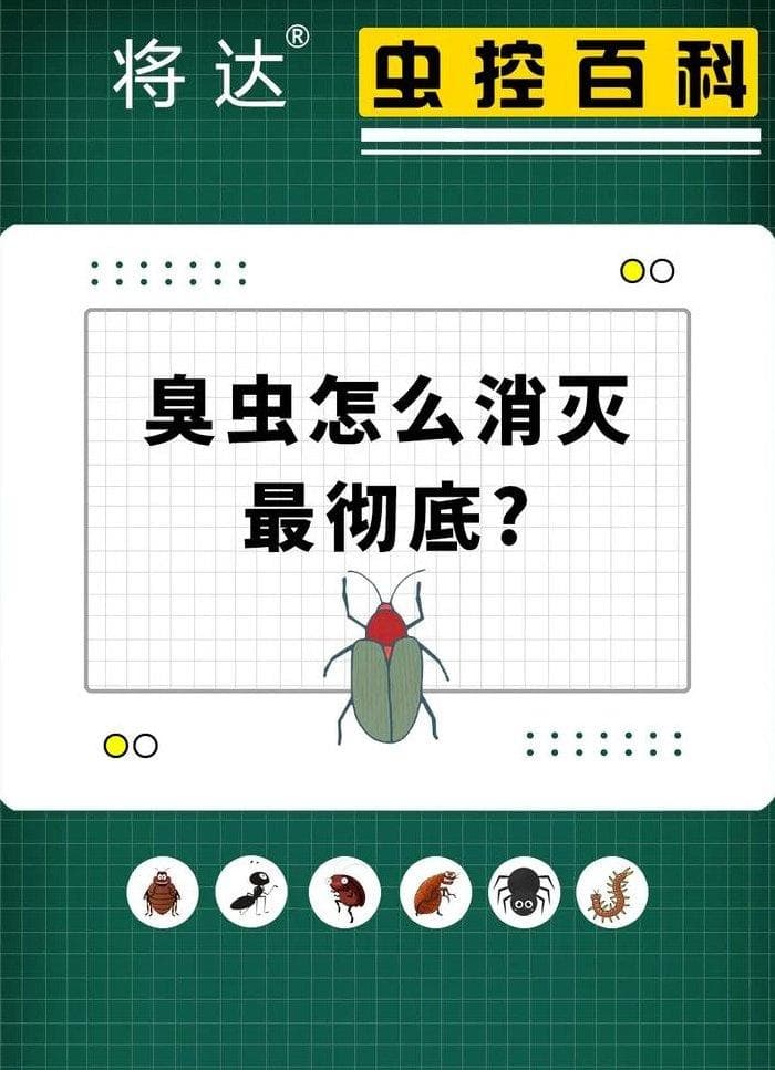 驱赶臭屁虫教你几招（房间里的臭屁虫从哪儿来）